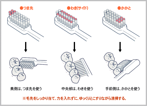 毛先を上手に使う